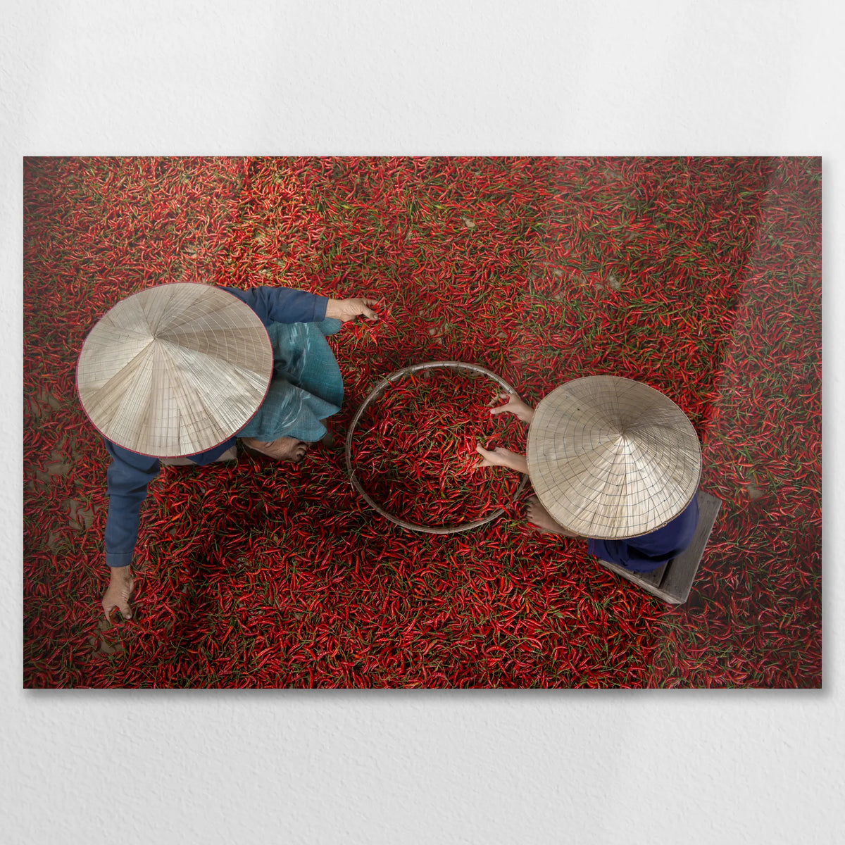 AL-075W050