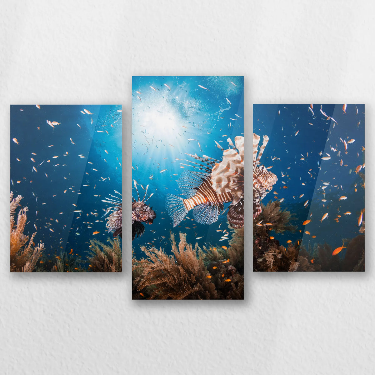 AC-060T040