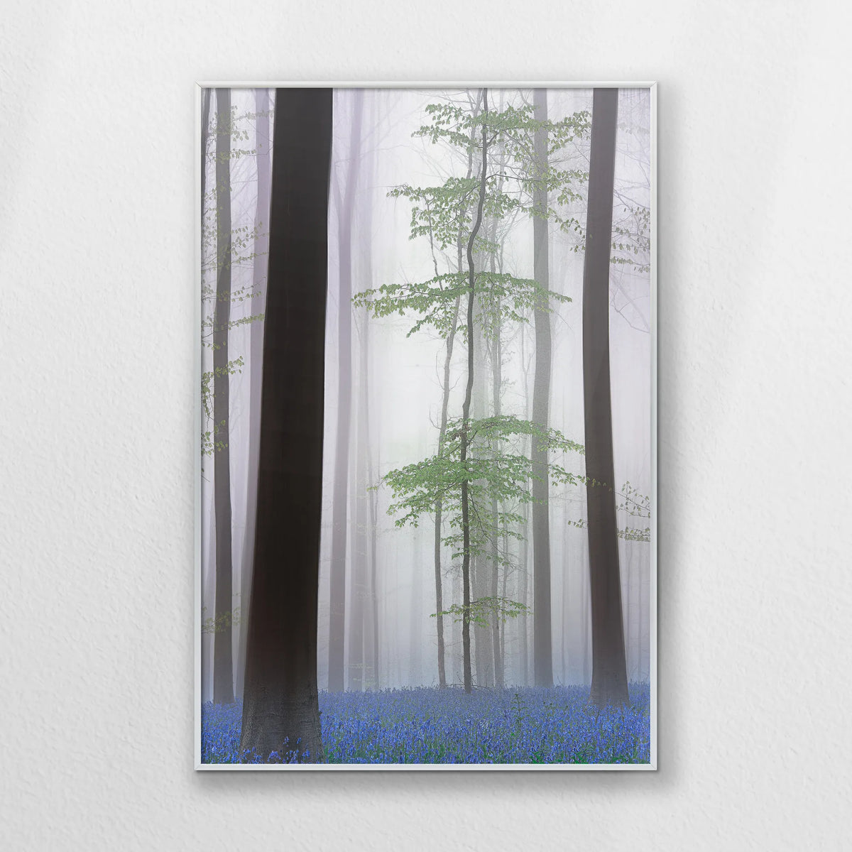 PS-062W093