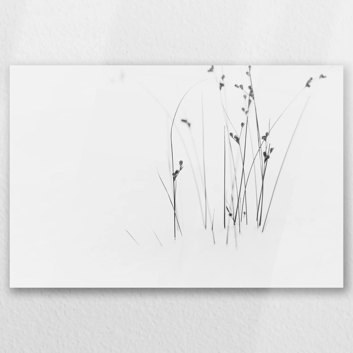 AC-030W020