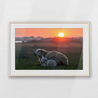 PNP100W070