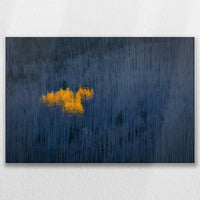LW-075W050