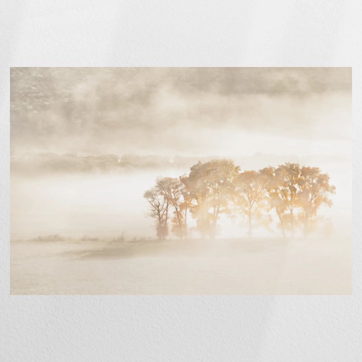 PO-075W050
