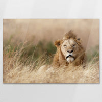 AC-120W080