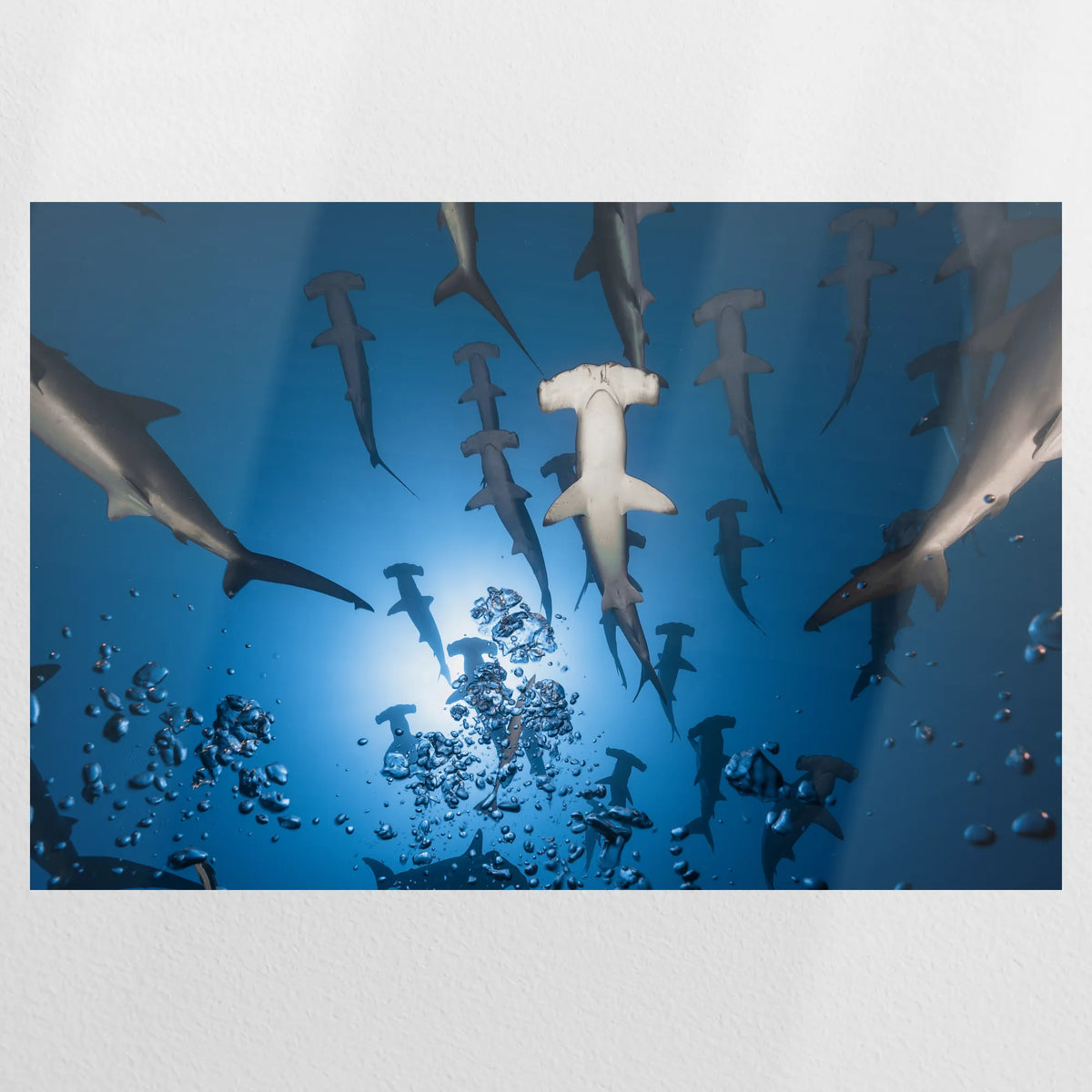 PO-090W060