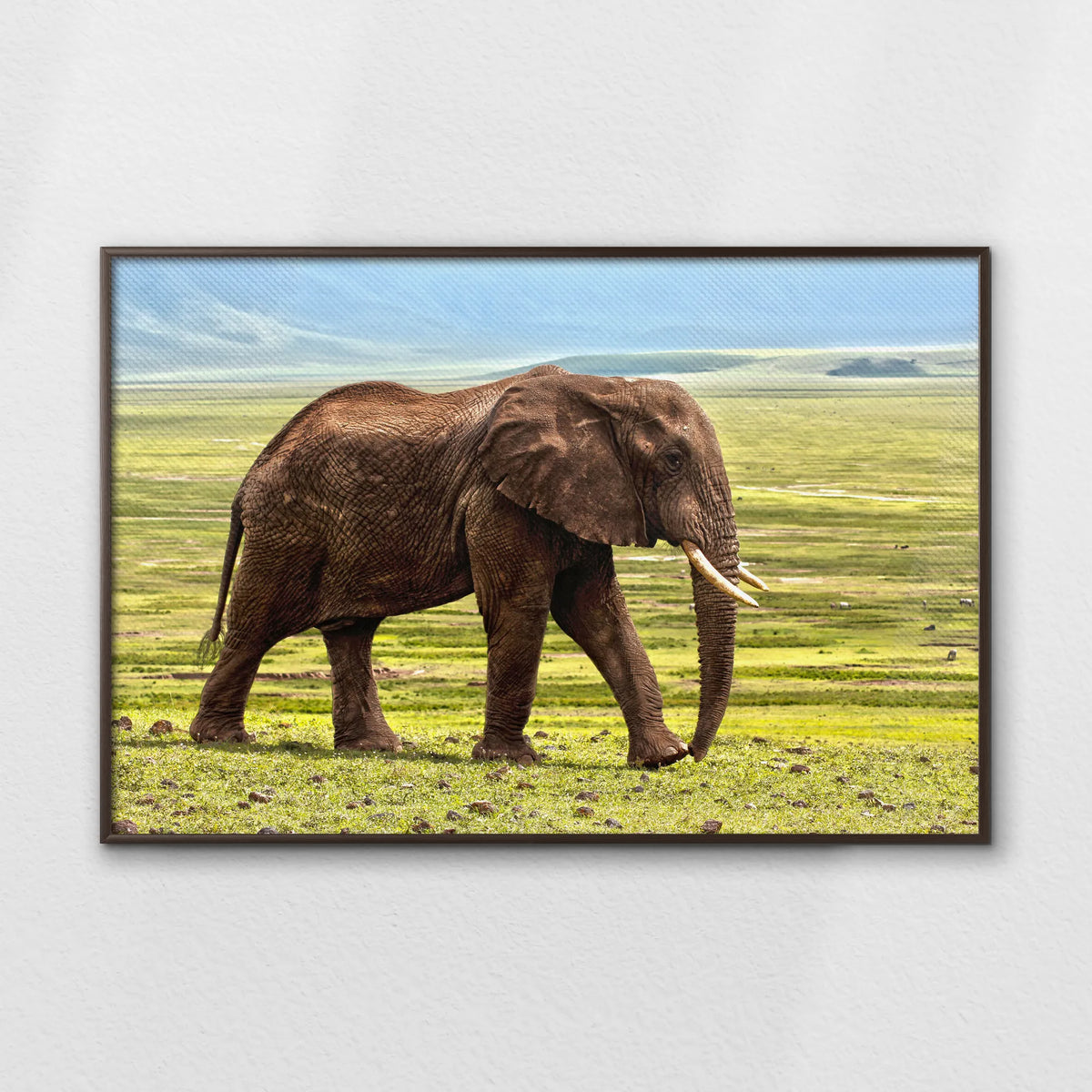 LWN120W080