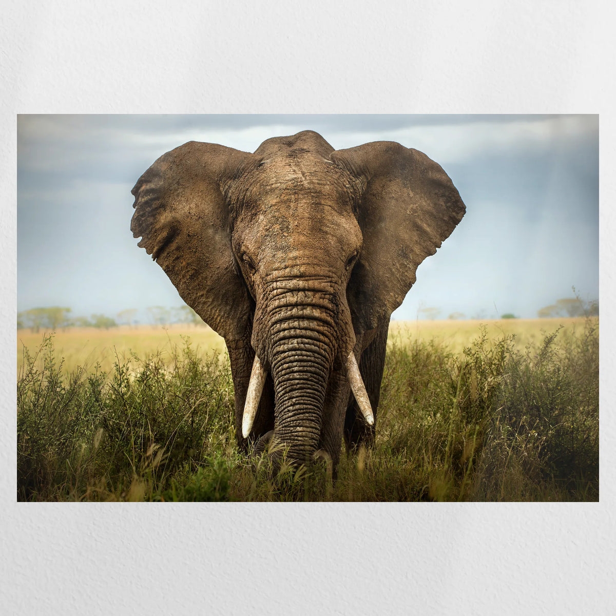 PO-075W050