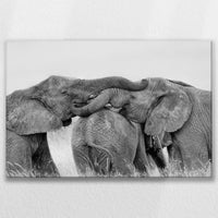LW-075W050