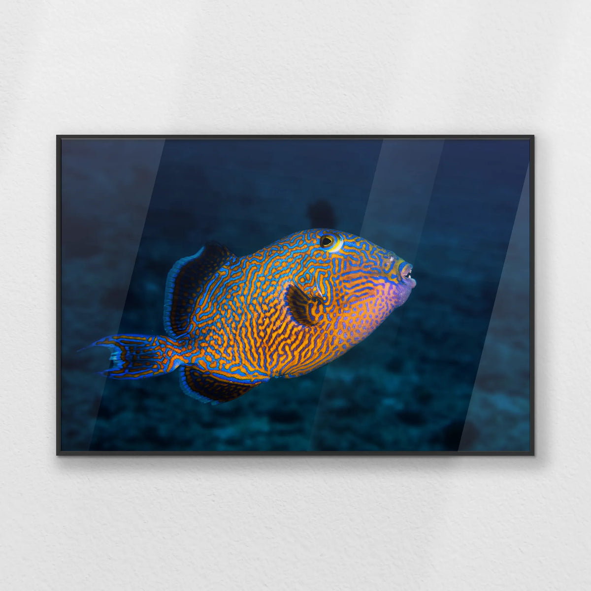 PB-093W062
