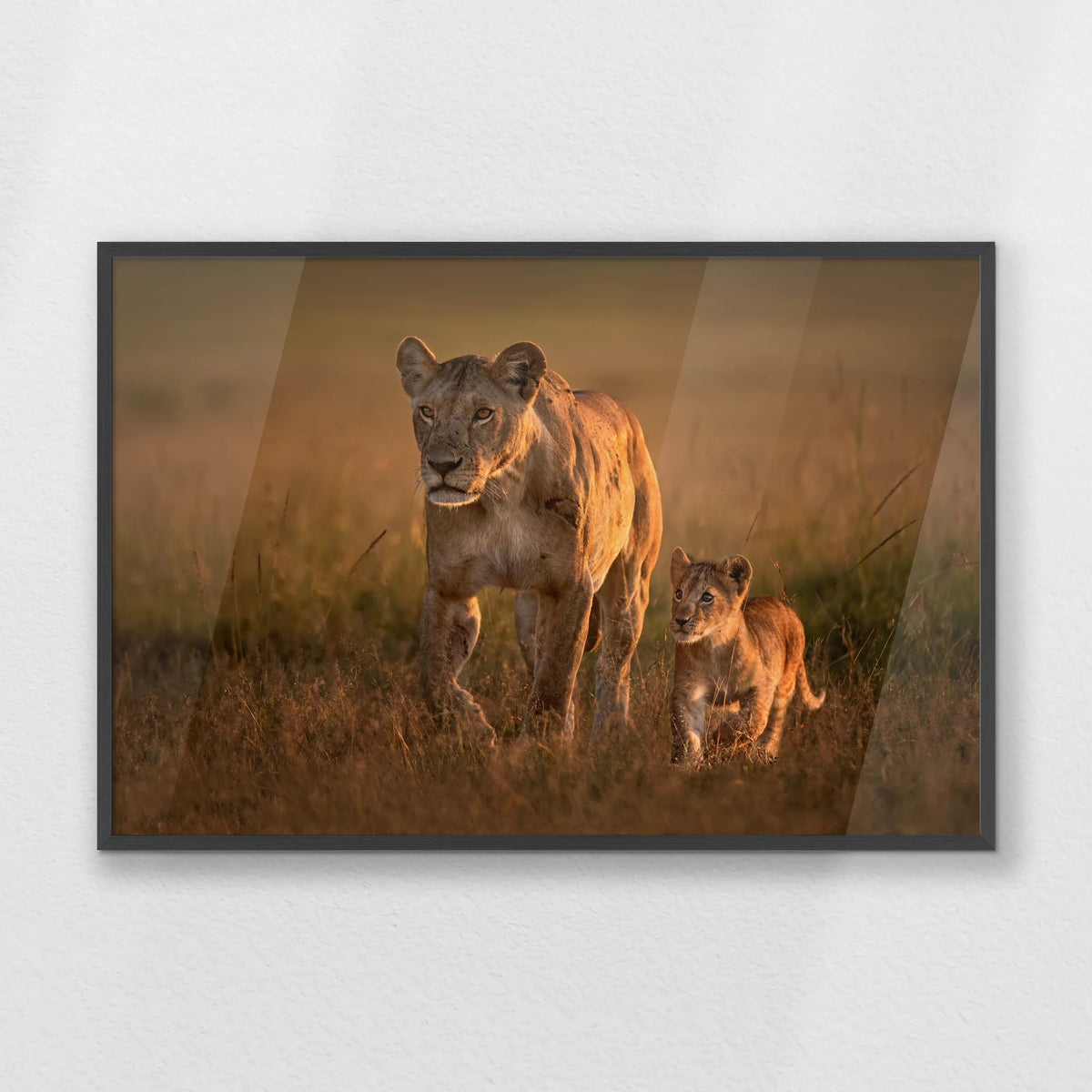 PK-100W070