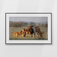 PBP093W062
