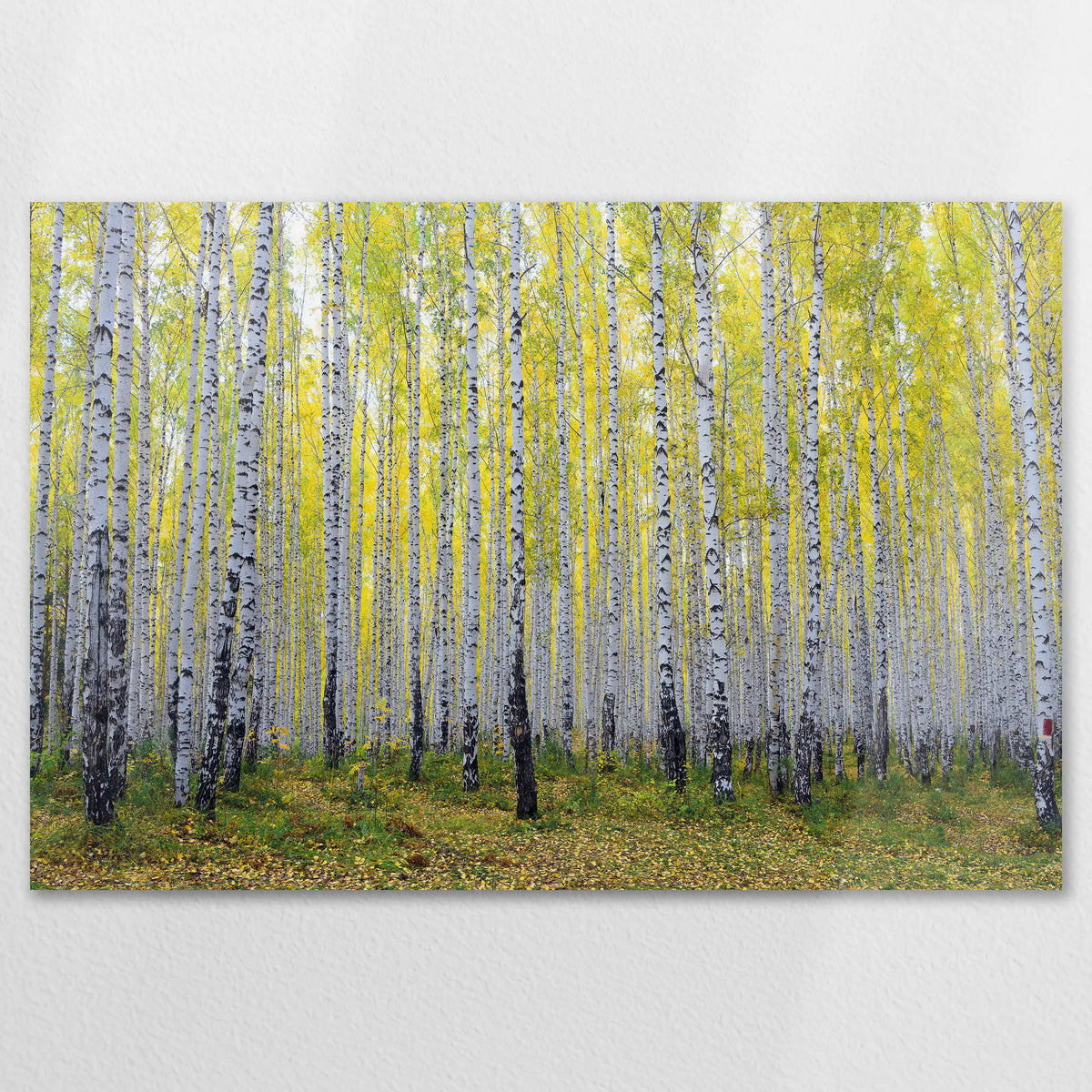 AL-120W080