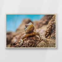 PN-100W070