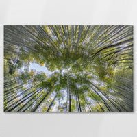AC-075W050