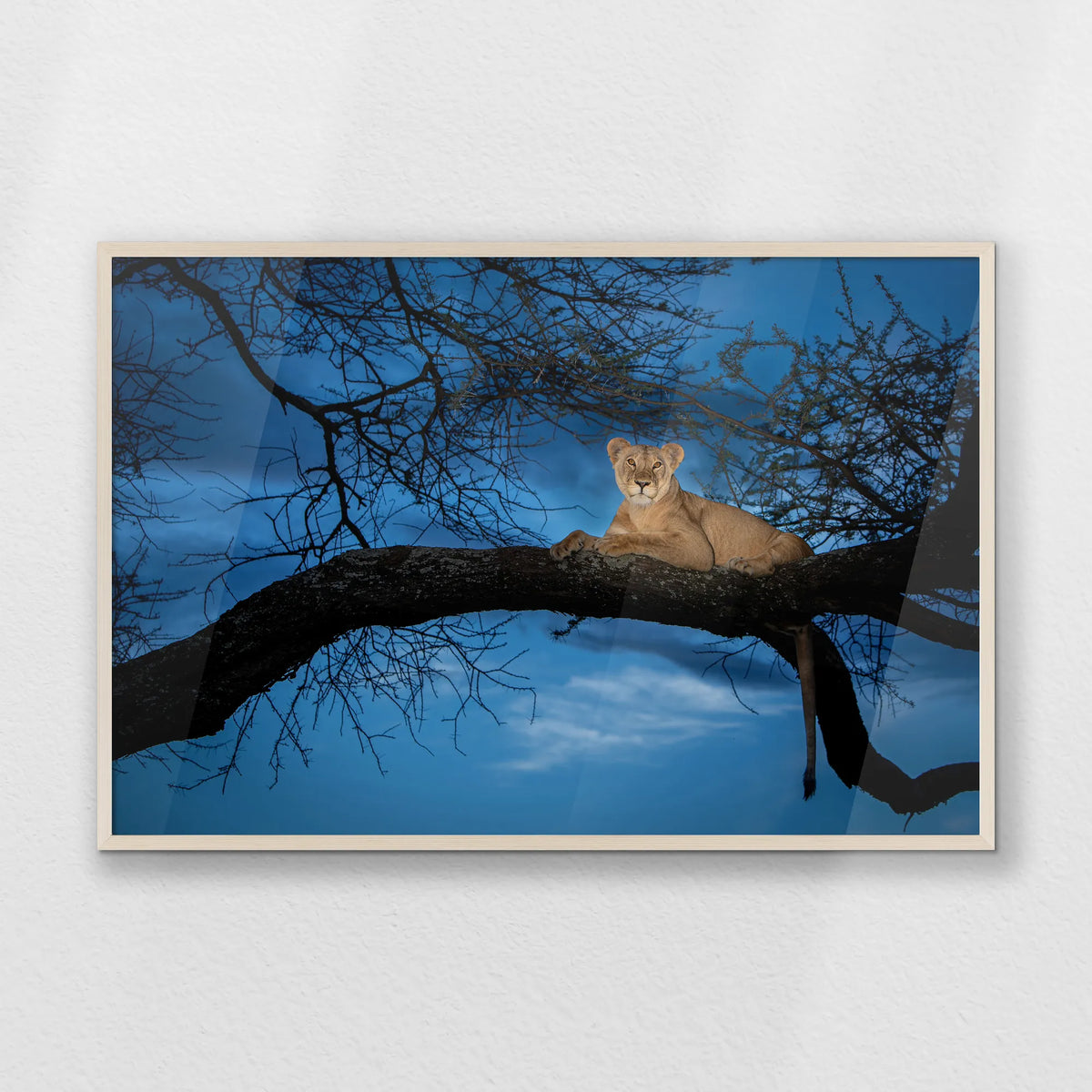 PN-100W070