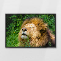 LWB100W070