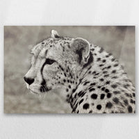 AC-030W020