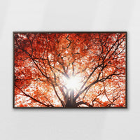 LWN120W080