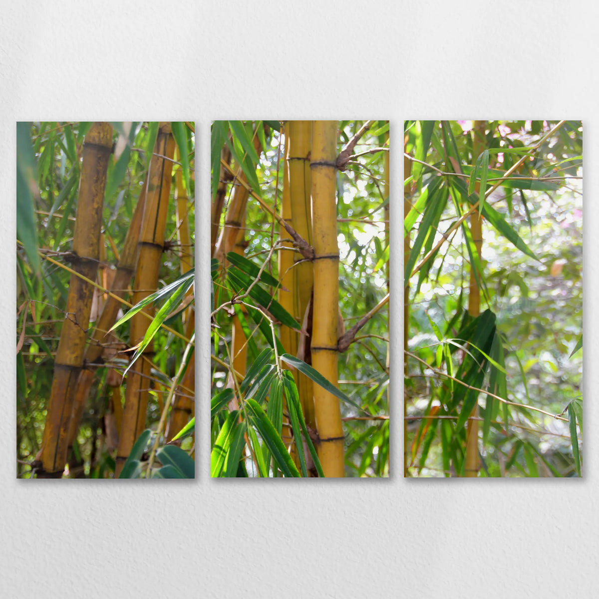 AC-150R100