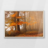 PN-093W062