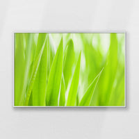 PS-093W062