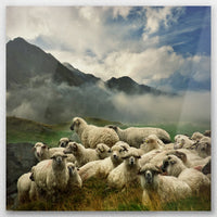 AL-050W050