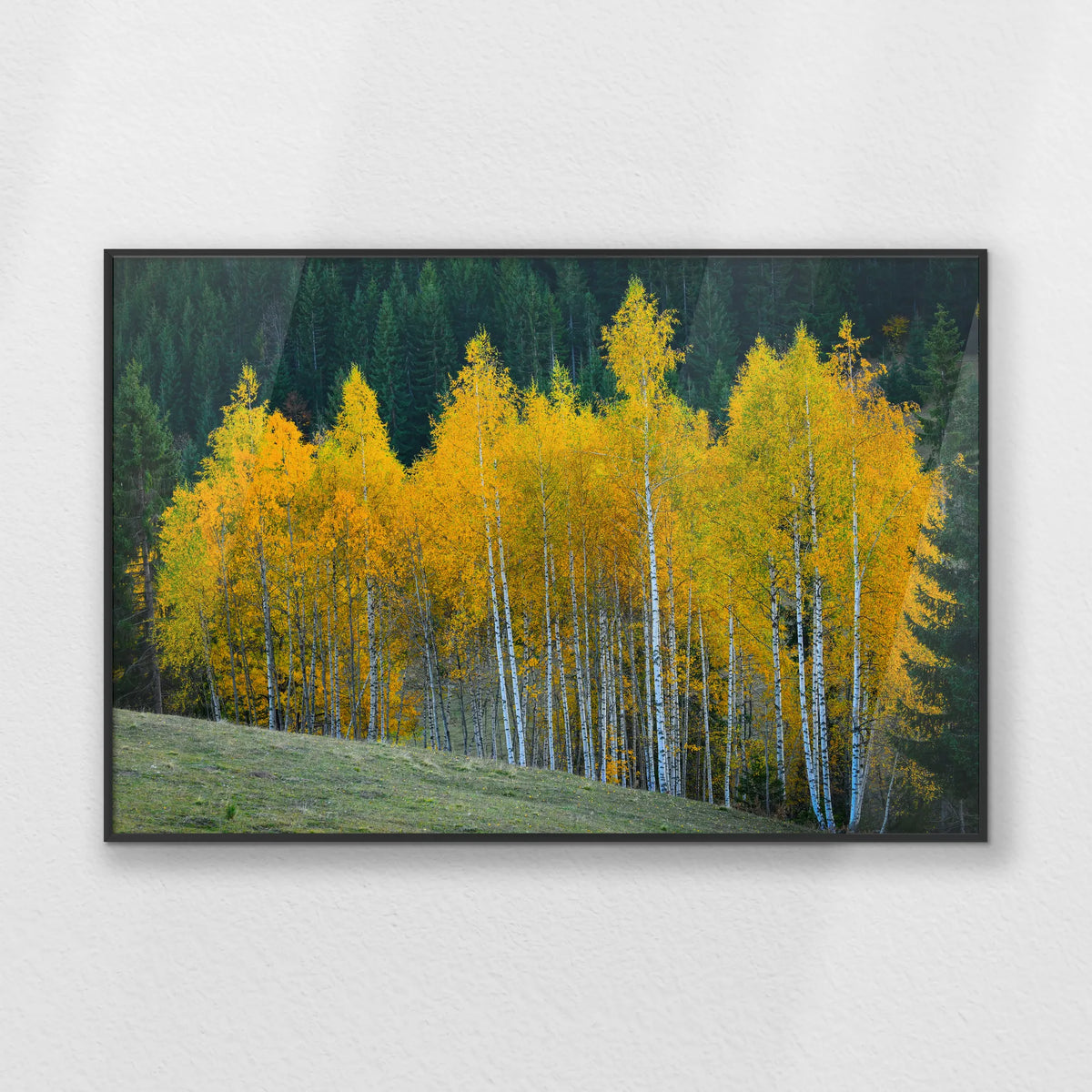 PB-093W062