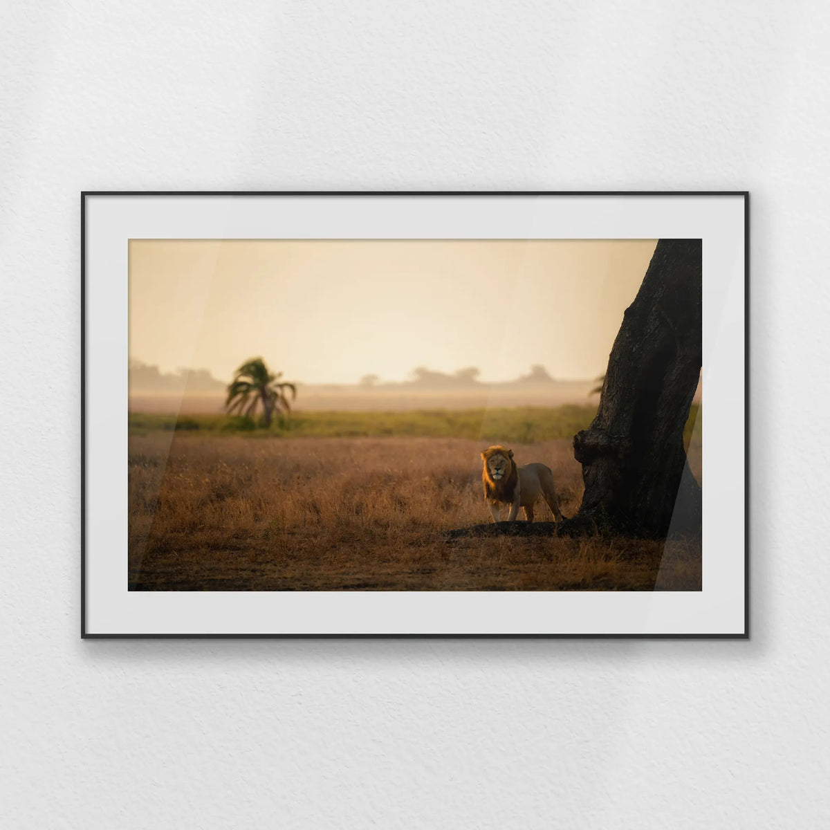 PBP120W080