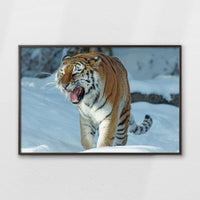 LWN120W080