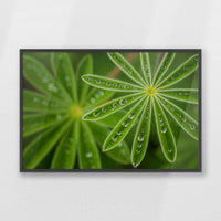 PK-100W070