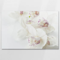 AC-075W050