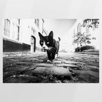 PO-120W080
