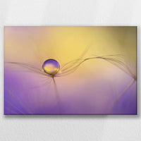 LW-045W030