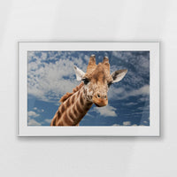 PSP120W080