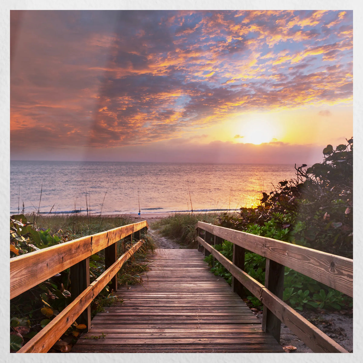 PO-050W050