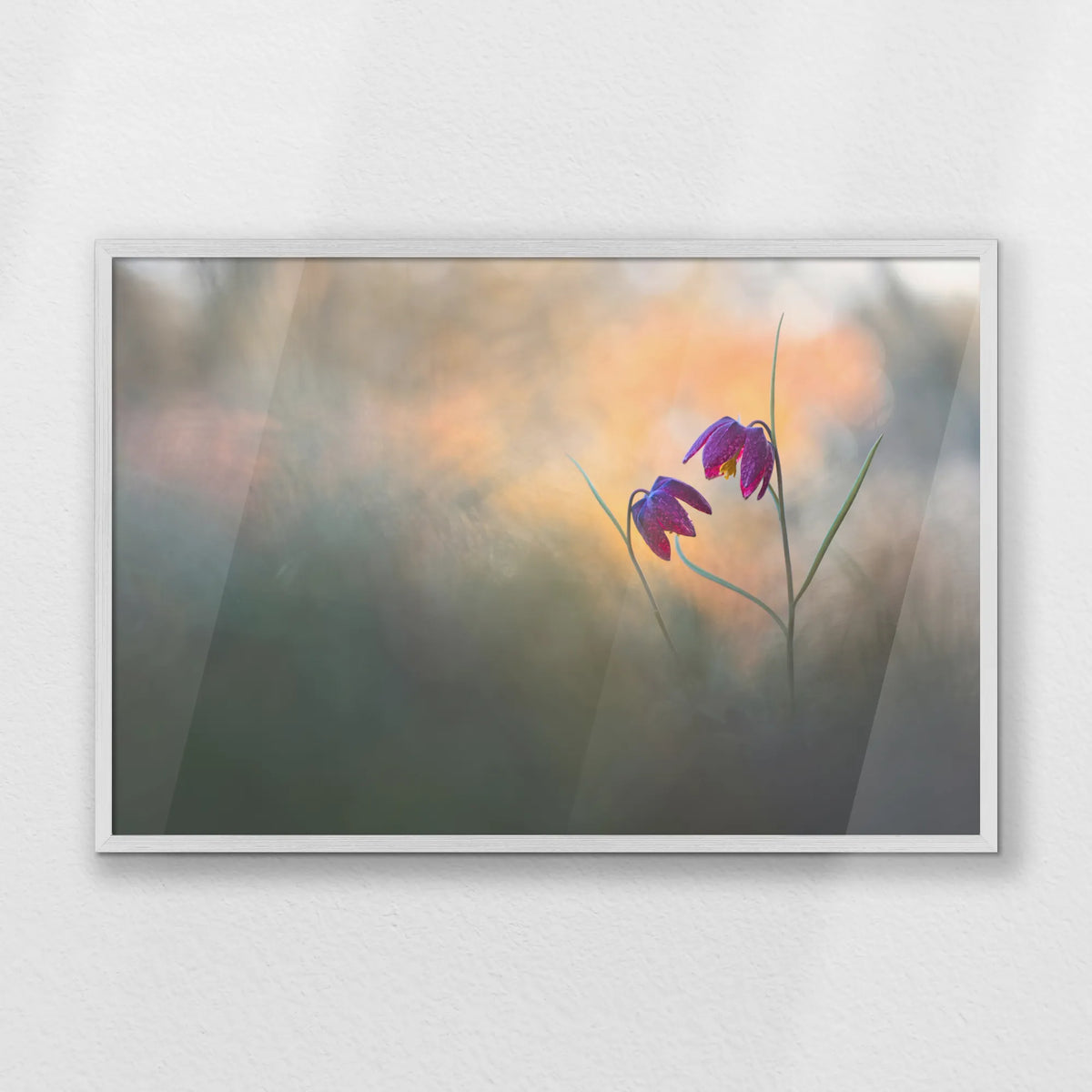 PW-093W062
