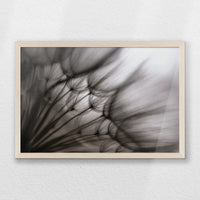 PN-060W040