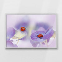 PW-093W062