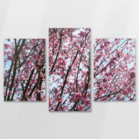 AL-150T100