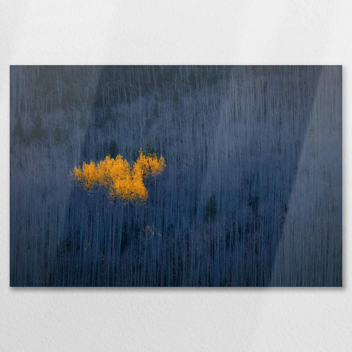 AL-090W060