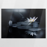 PO-090W060