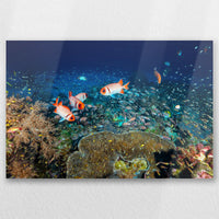 AL-060W040