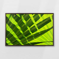 LWN100W070