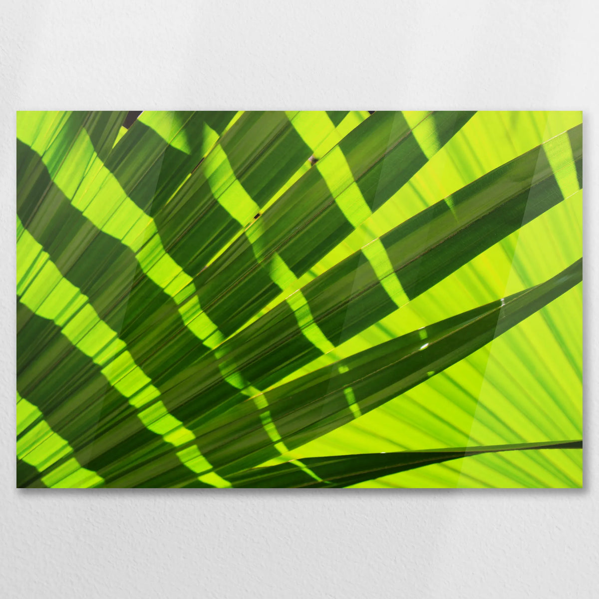 AC-075W050