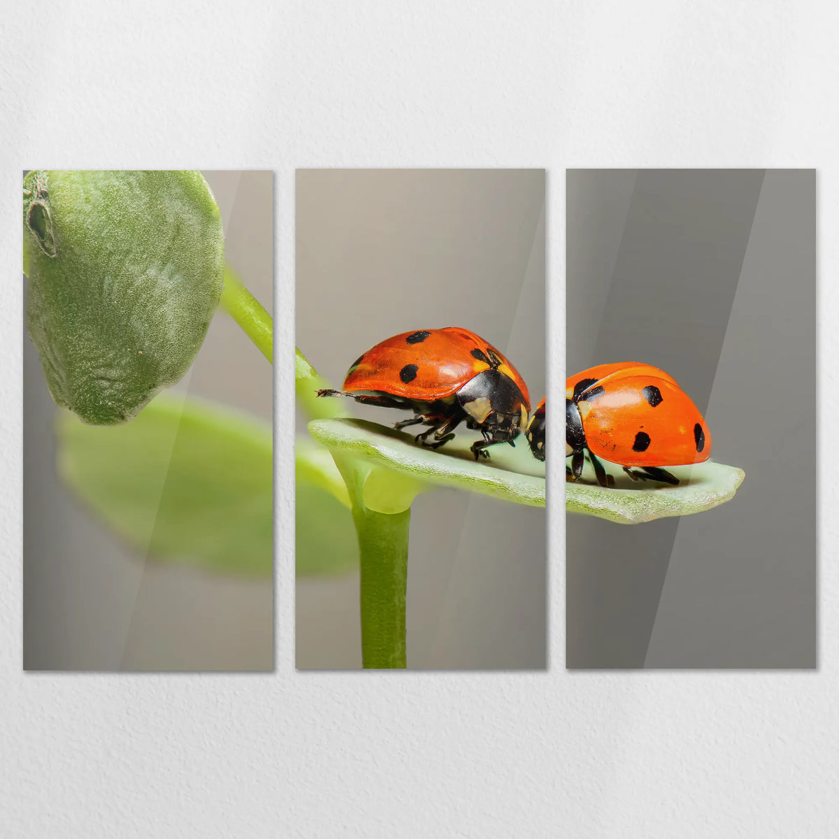 AC-180R120