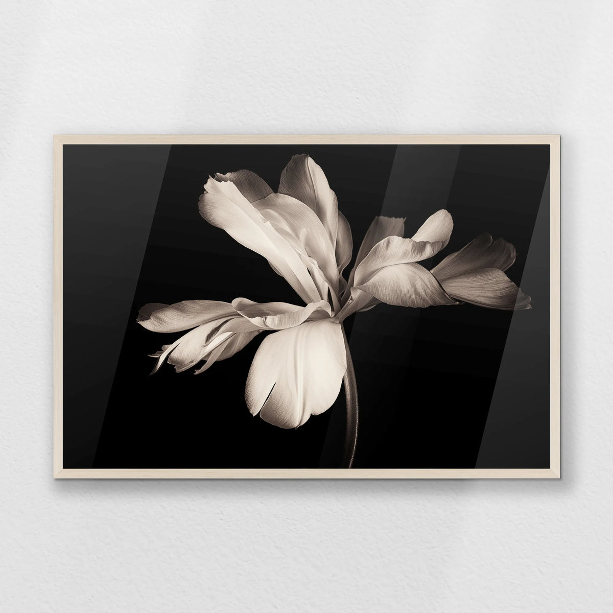 PN-093W062