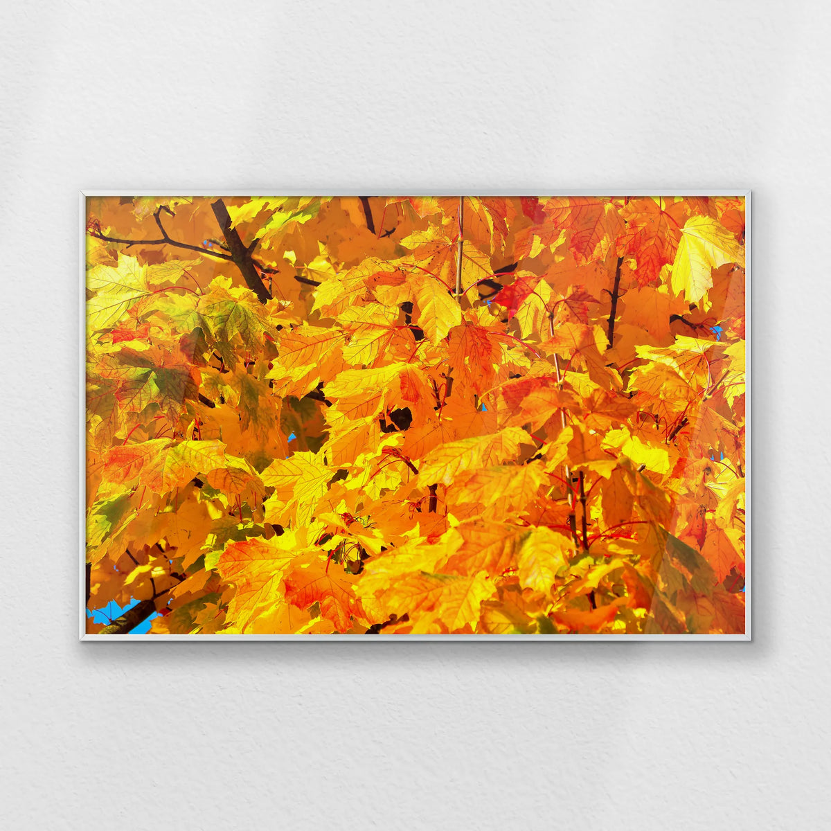 PS-093W062