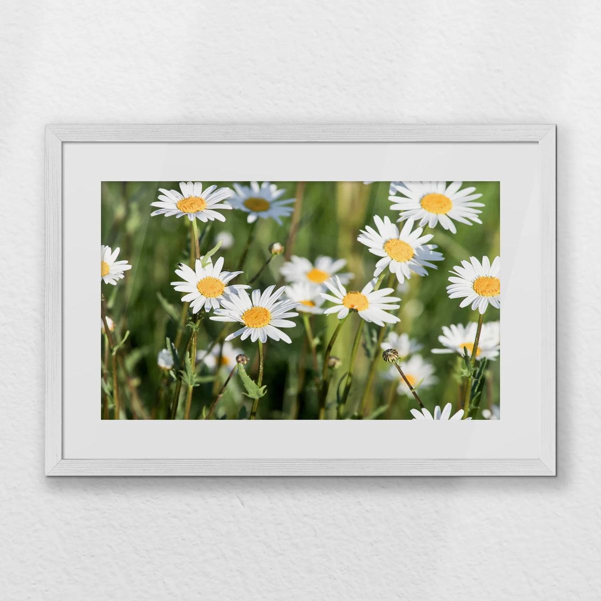 PWP060W040