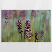 PO-045W030