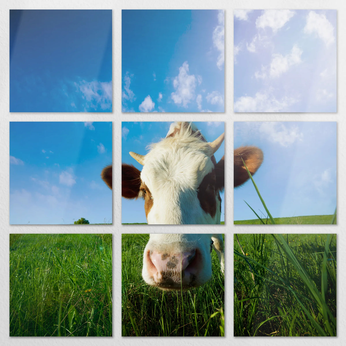 AL-240Z240